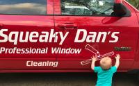 Squeaky Dan's Window Cleaning image 2